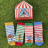 Pack of 4 circus themed baby socks - with lions, dogs, elephants and seals on them. In front of a 'big top' box as the packaging.