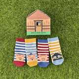 Four pairs of striped socks, three with pigs on and one with a wolf on - laid out in front of a gift box which says 'Huff and Puff Socks'