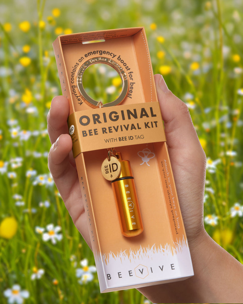 Someone holding the original bee revival kit outside by a meadow