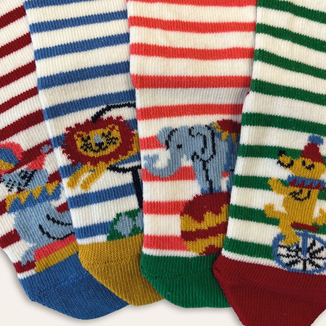 Close up of 4 baby socks with seals, lions, elephants and dogs on them - at the circus.