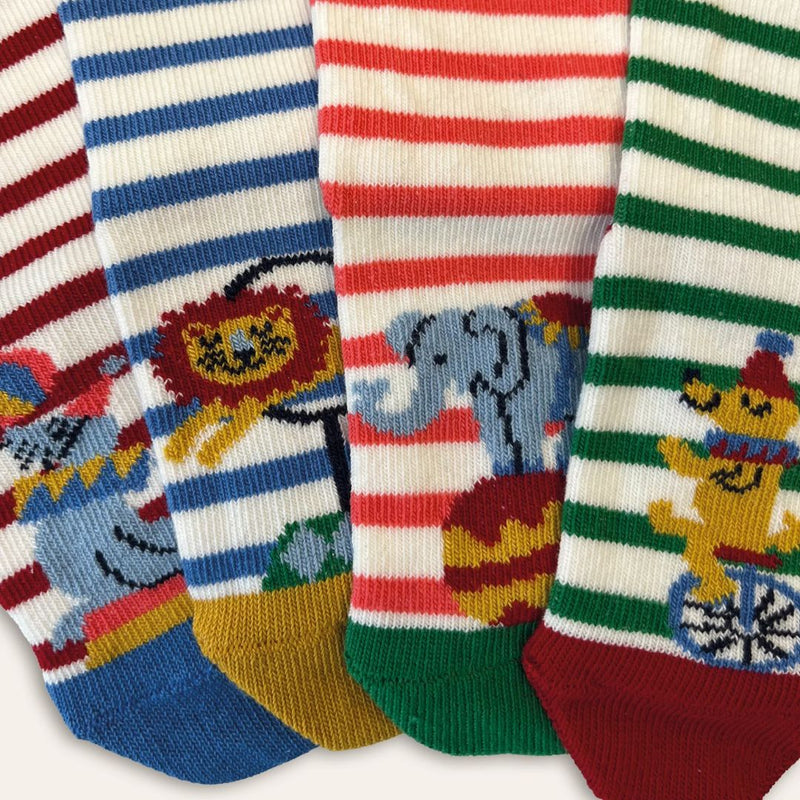 Close up of 4 baby socks with seals, lions, elephants and dogs on them - at the circus.