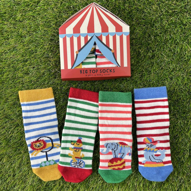 Pack of 4 circus themed baby socks - with lions, dogs, elephants and seals on them. In front of a 'big top' box as the packaging.