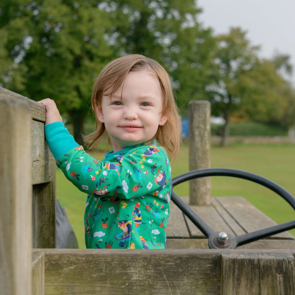 Child in a playground, looking straight at the camera - wearing a fun, green Ducky Zebra top. The top has pictures of hedgehogs and dogs playing together in the garden. 