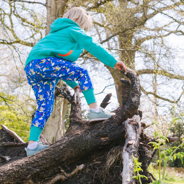 Image of a child climbing a tree, wearing Ducky Zebra joggers and a turquoise hoody
